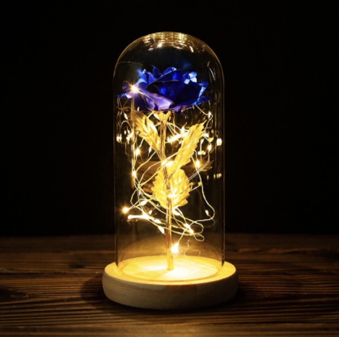 Higher deco glass dome rose night light